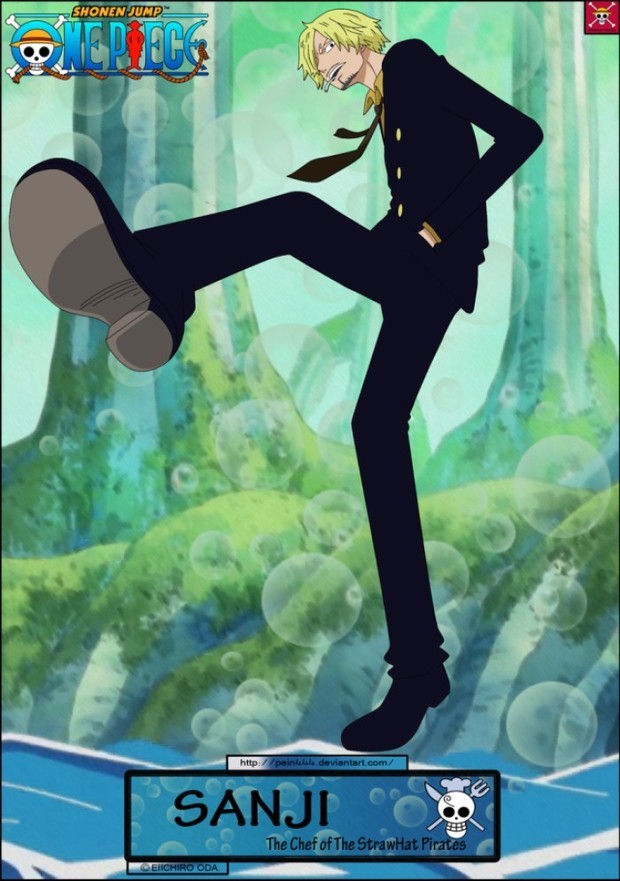 求海贼王草帽海贼团每个成员的图,要一个系列