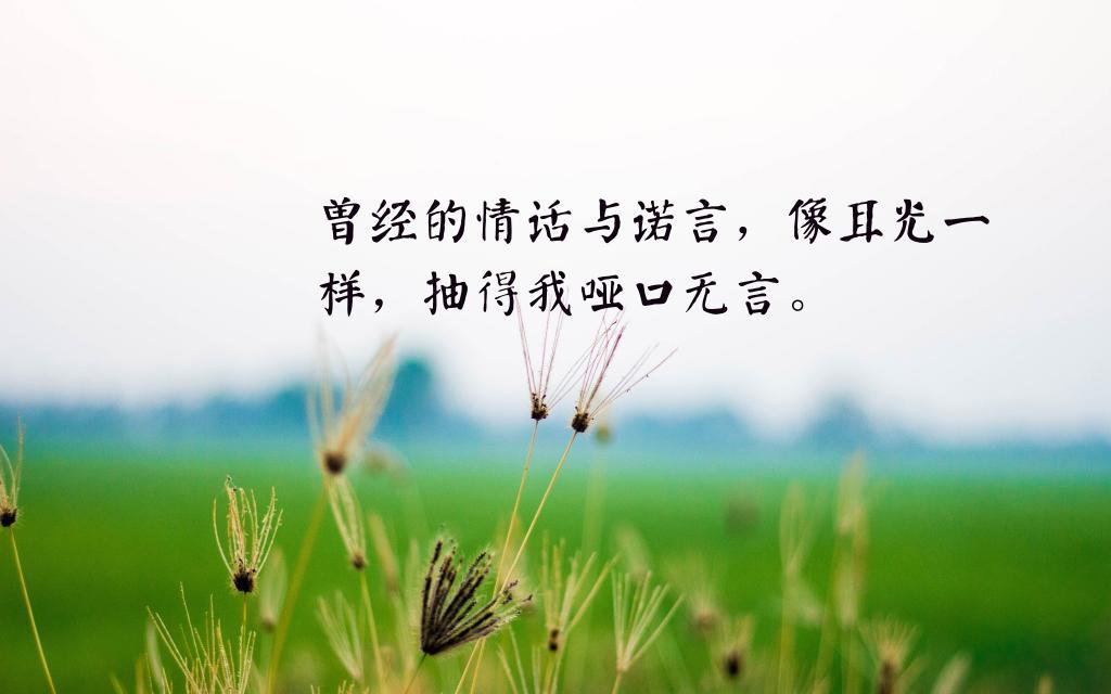 心痛心凉了的说说图片[图5]