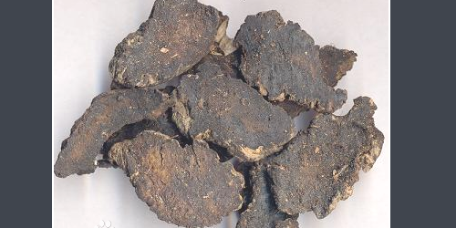 10熟干地黄2000克,杏仁500克(汤浸,去皮尖,双仁,研如膏)诃黎勒皮250