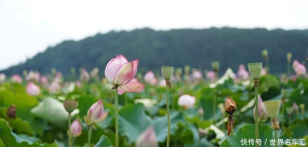 2019年云南省群众安全感