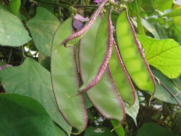 身体湿气排出了,自己怎么判断,身体会有什么反