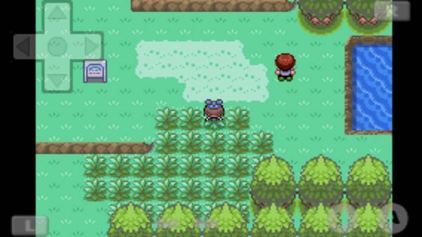 口袋妖怪漆黑魅影里头圆企鹅在哪抓,我在103道