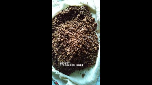 360影视 影视搜索 360影视 影视搜索