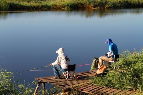 1-2亩鱼塘以垂钓为主,养什么鱼,多久能开钓,利润空间多少,投资大约