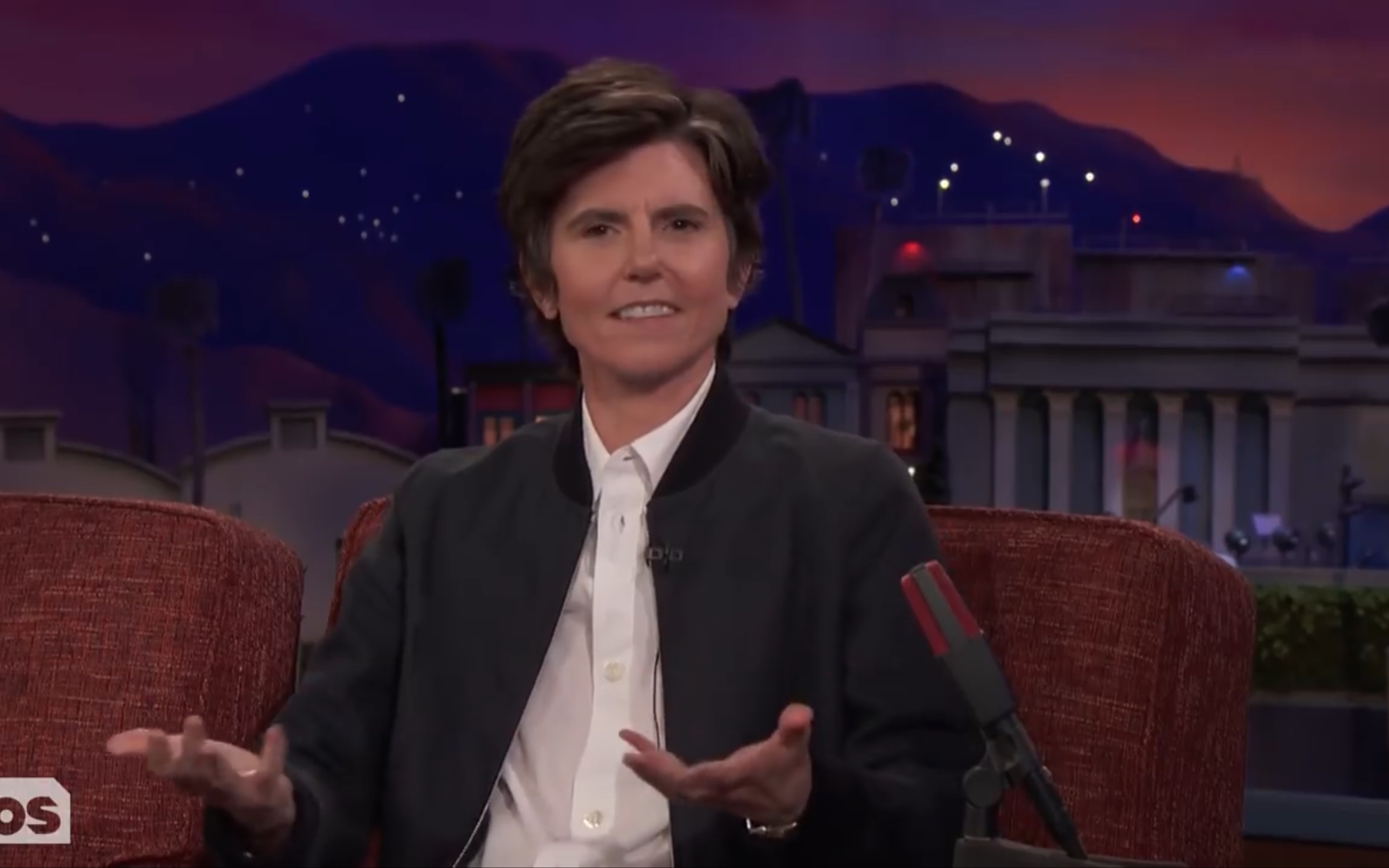 【柯南秀】tig notaro cant stop thinking about her  most