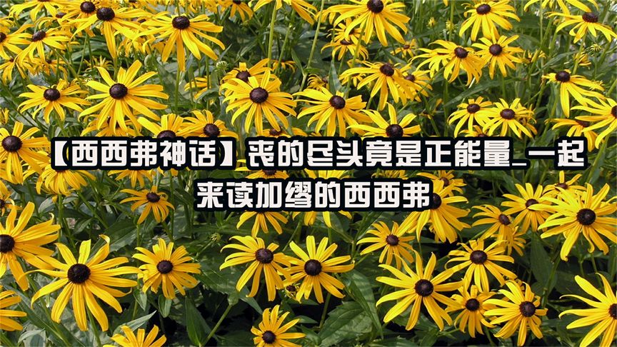 [图]【西西弗神话】丧尽头竟是正能量一起来读加缪西西弗【转载】