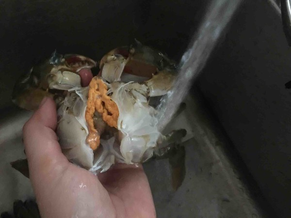黄眼蟹(招潮蟹)怎么吃?