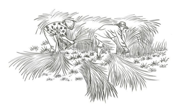 农民人头简笔画