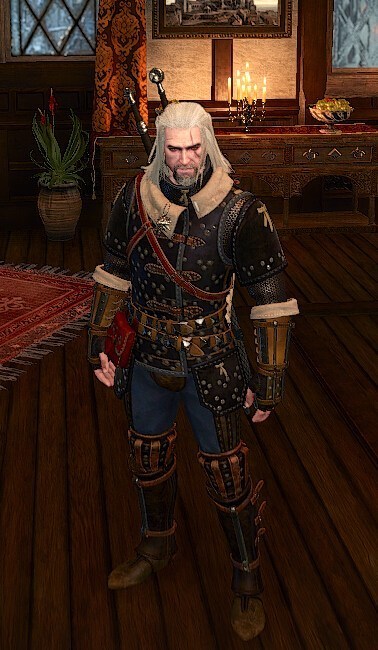 巫师3猫学派加点心得 技能天赋搭配及打法技巧