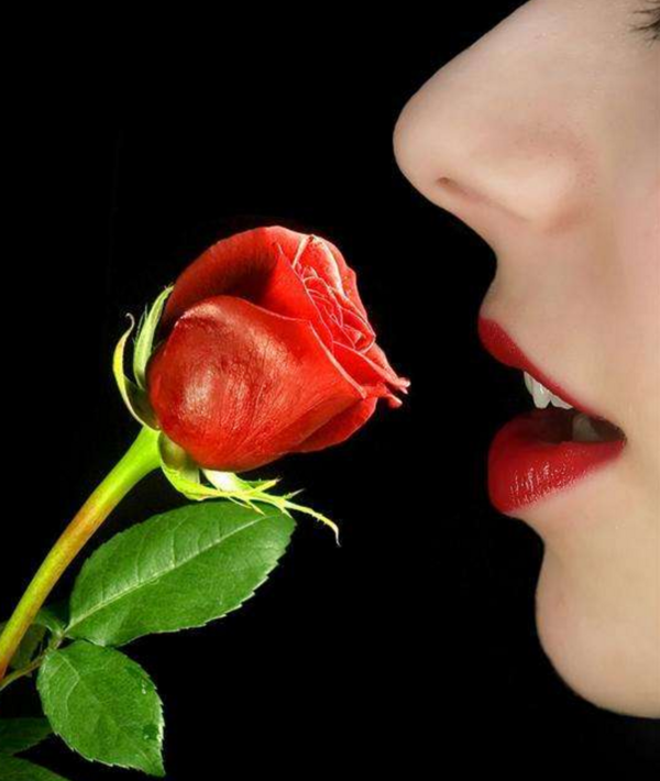 嘴叼玫瑰花的女人图片图片