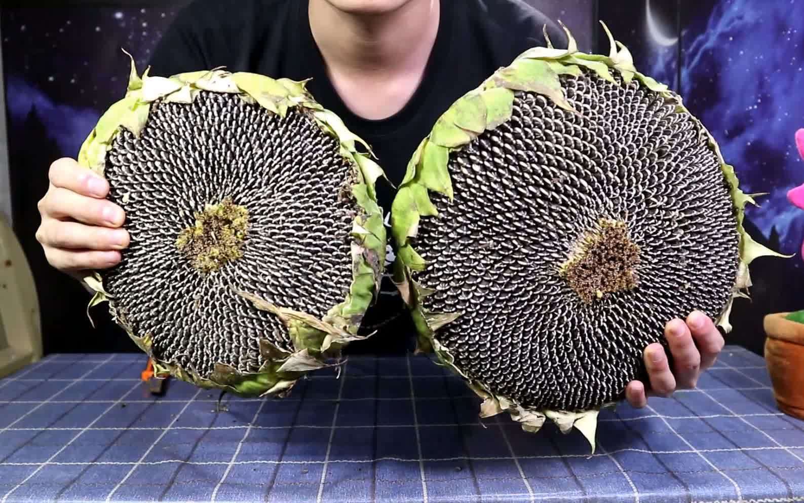 360影视 影视搜索 360影视 影视搜索