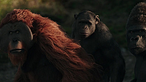 猩球崛起3:众 猩猩去复仇,见到男子二话不说就开了枪