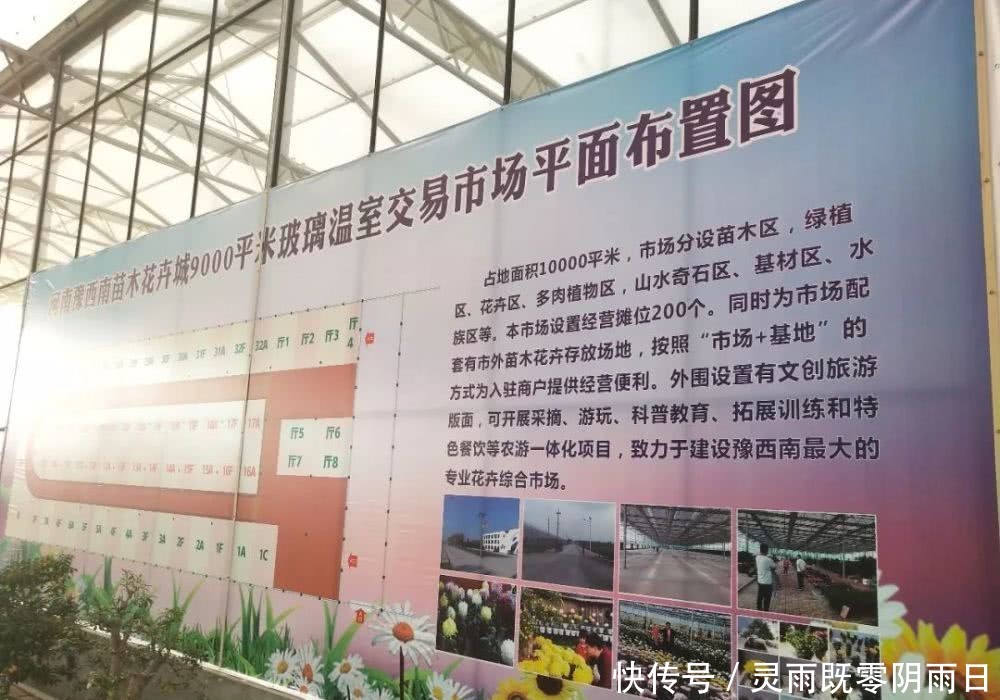 2019主要工作情况