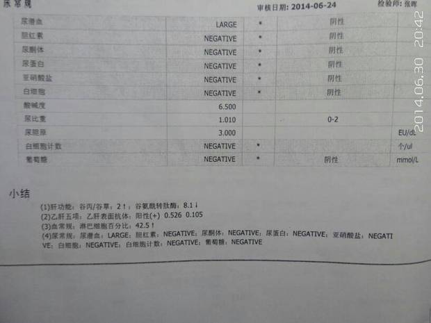 谁能看懂这张体检报告,上面英文什么意思,报告