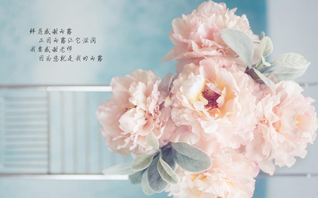 教师节经典语录[图4]