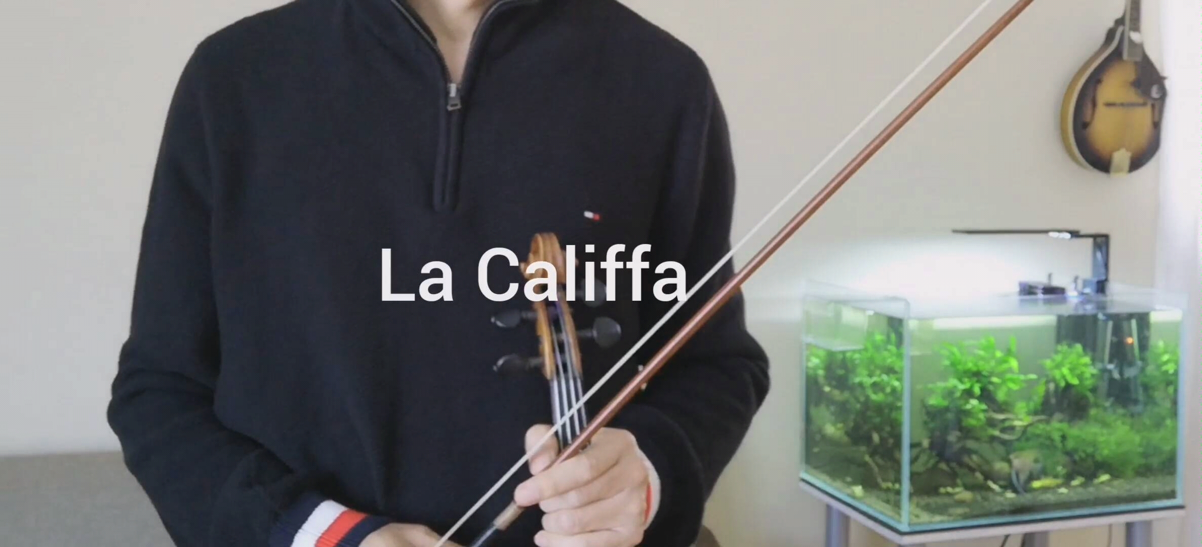 [图]《La Califfa》同名电影的主题曲改编并试奏