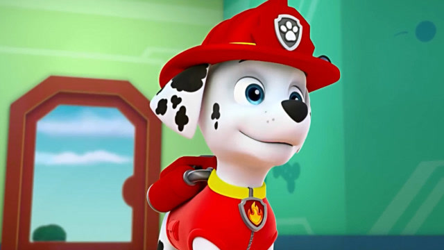 汪汪队:小动物来听小红讲故事,小白兔采蘑菇,其中有个道理