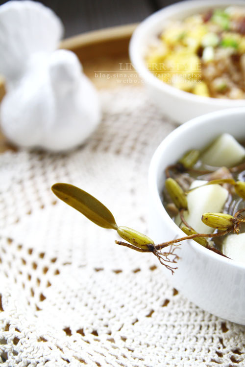 潮汕称石猪肝的植物是哪种?