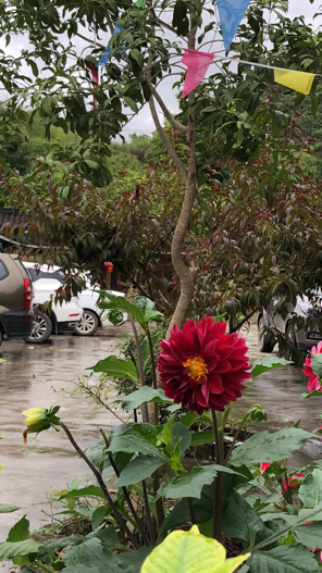 我是一个苹果卡贴机方面的小白 就现在想入手