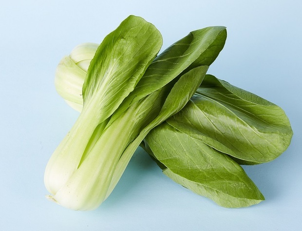 油菜什么品种较好 ,又如何种植油菜呢?