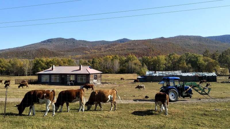 360影视 影视搜索