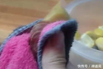 太阳有人没有人