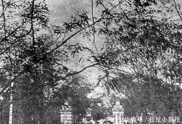 教育部办学方针