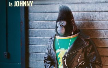  b>欢乐好声音 /b>(剪辑)-强尼篇