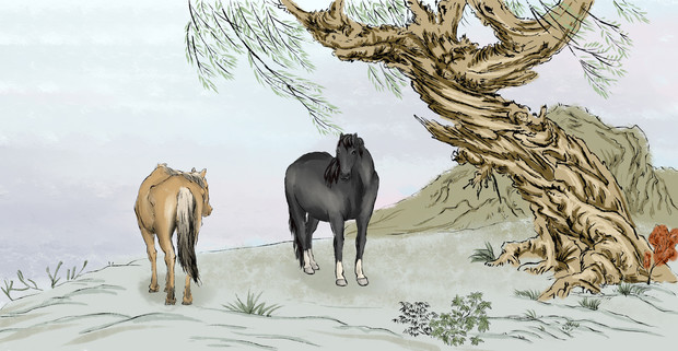 小学儿童短篇故事文字版:追求长寿的马