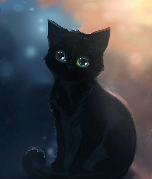 大眼睛黑色的卡通猫叫什么