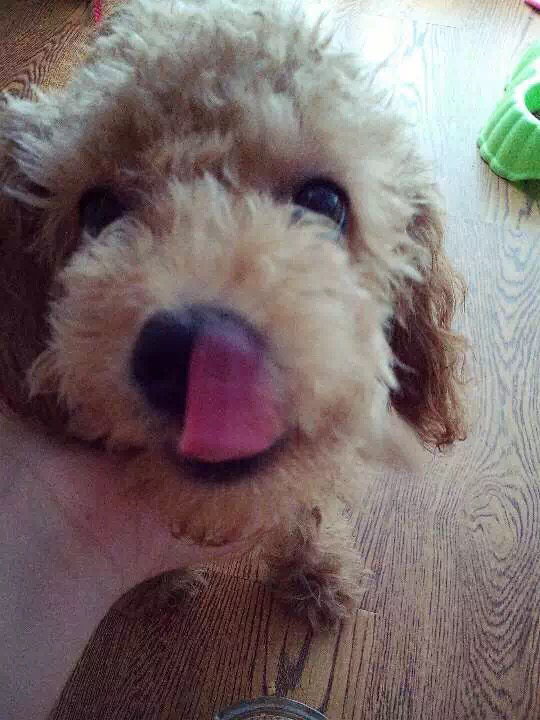 中央新闻联播片尾曲叫什么名字?求大神解答