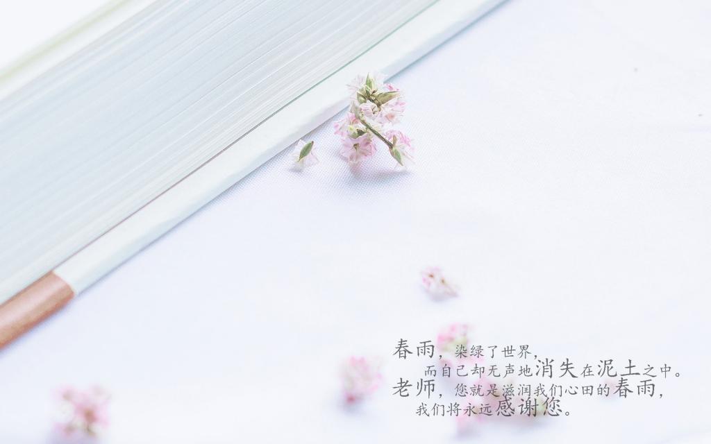 教师节经典语录[图8]