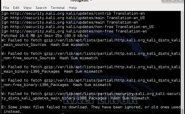 kali linux \/ubuntu执行apt-get update后不能insta