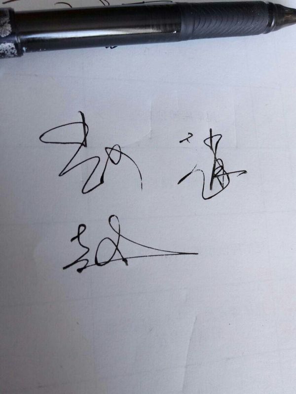 赵的艺术签名手写图片