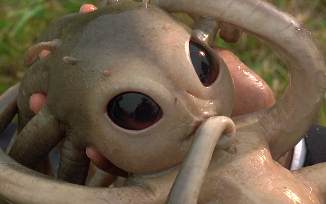 360影视-影视搜索