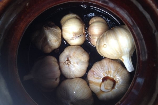 人腌制的糖蒜是白的有的是绿的,是什么影响了颜色?