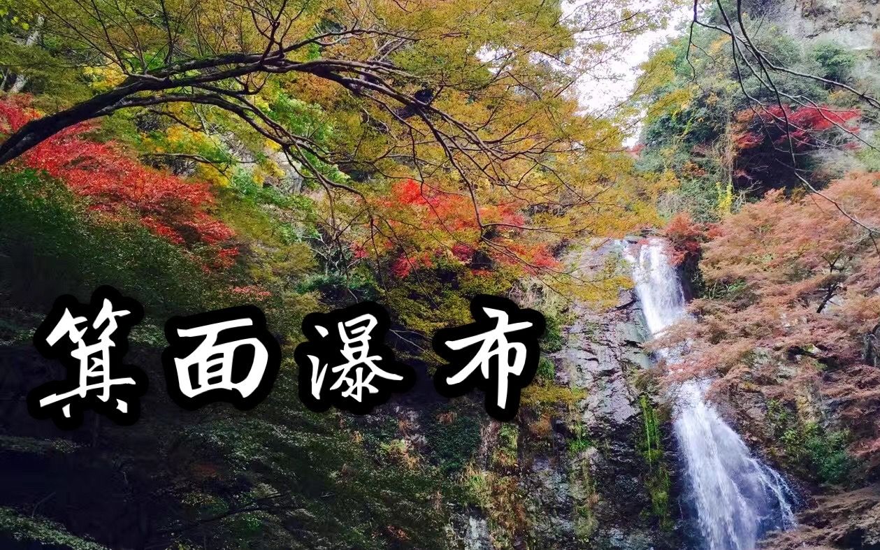 360影视 影视搜索 360影视 影视搜索