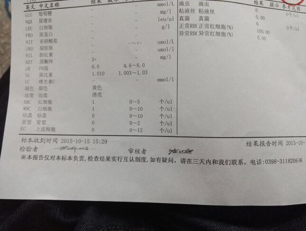 尿检结果酮体3加 其他正常 我11号呕吐 腹泻这