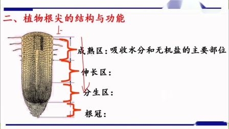 360影视 影视搜索