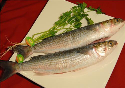 鱼云是什么 有什么营养价值吗