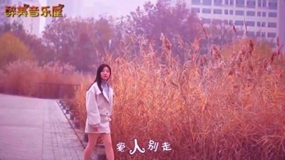 [图]一首伤感情歌《爱人别走》,优美的歌声,伤感走心的旋律,超好听