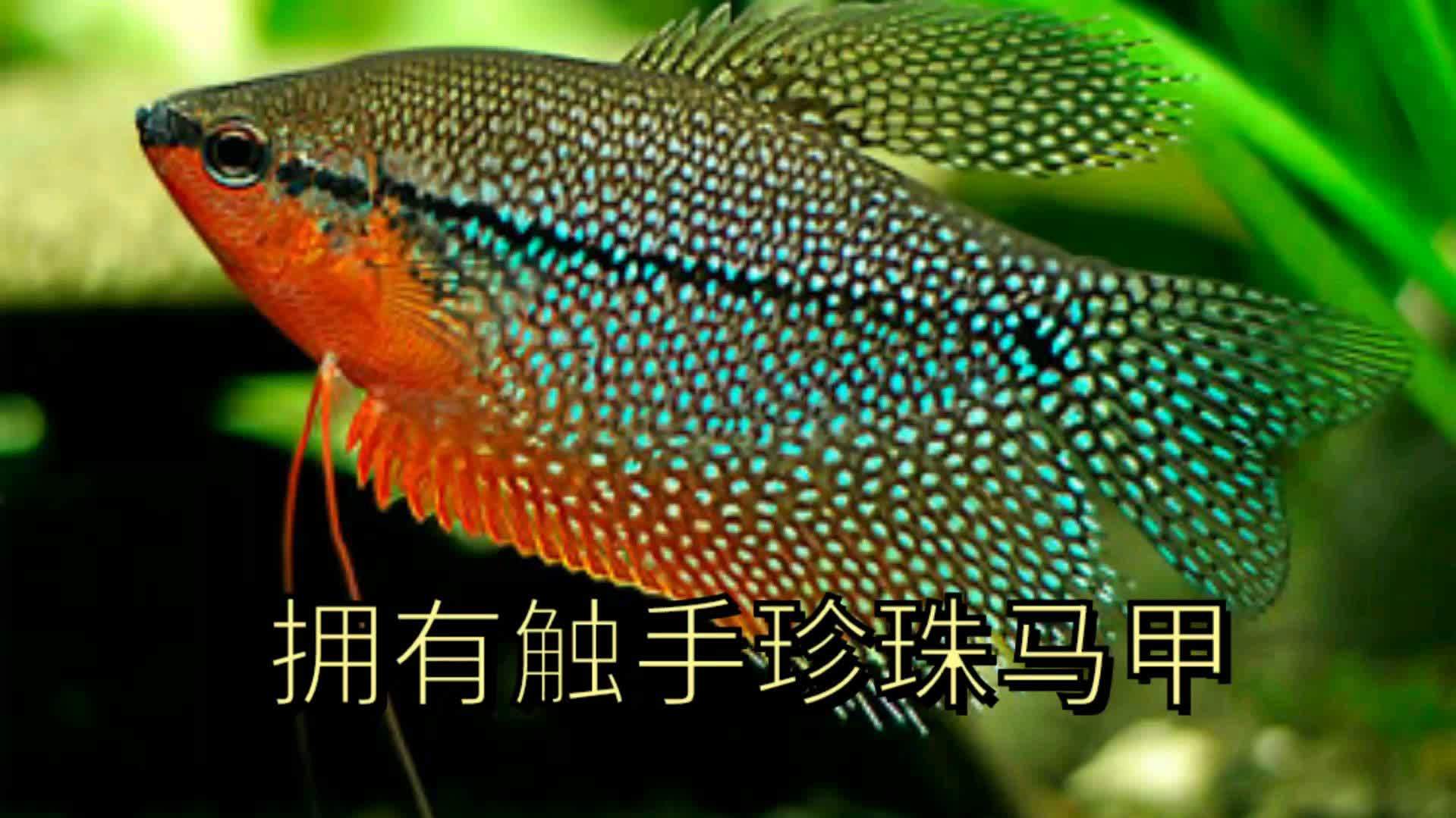 360影视 影视搜索 360影视 影视搜索