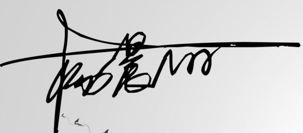 杨晨丽的名字签名如何写