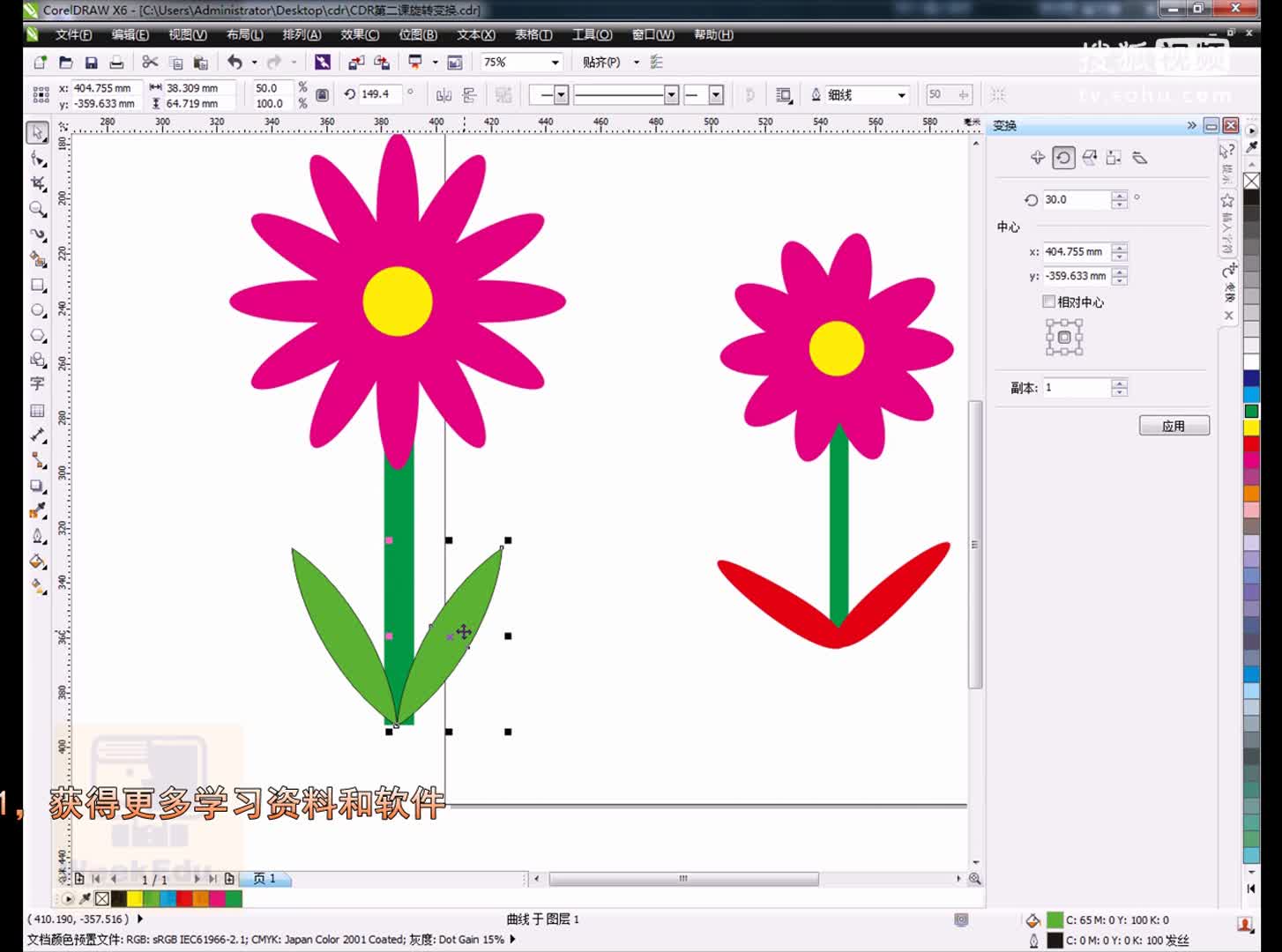 cdr基础入门教程coreldraw视频教程 cdr实例教程平面设计教程  花朵