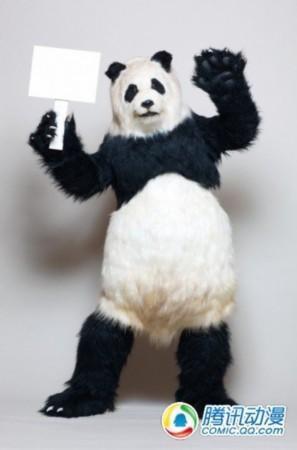 跪求一只熊猫举着迷你世界被打成鼻青脸肿的图片