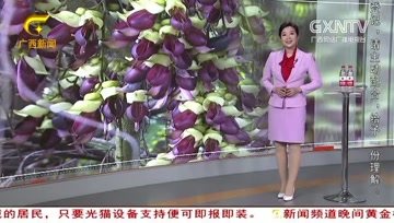360影视 影视搜索 360影视 影视搜索