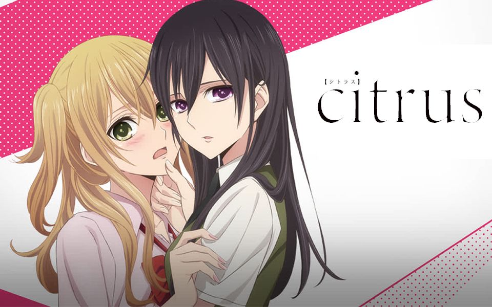 [图]速看《citrus～柑橘味香气～》1p【狮团爱煲番】