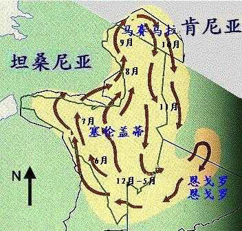非洲角马向北迁徙是在什么季节