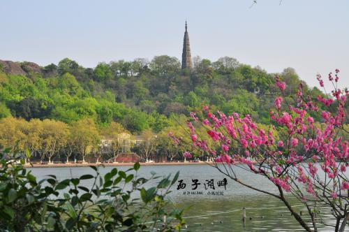 杭州西湖离乌镇有多远