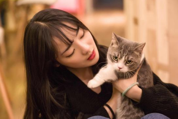 猫体重与食量对照表是怎样的?